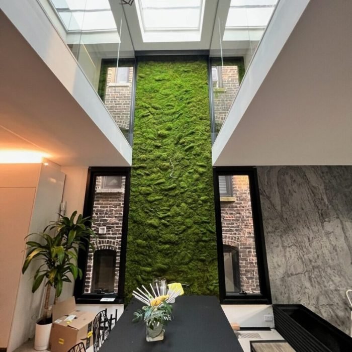 Preserved moss 5